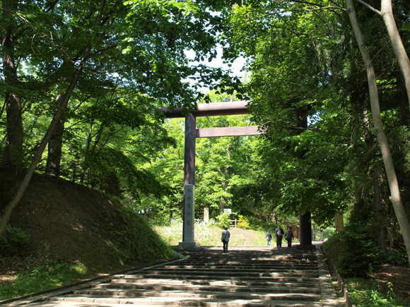 상품이미지 10