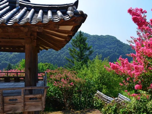 상품이미지 1