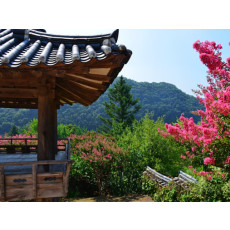 [KTX-모텔] 경상도 안동시티 1박2일