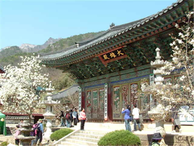 상품이미지 6