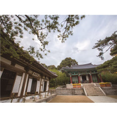 강원도 태백 정선 당일여행