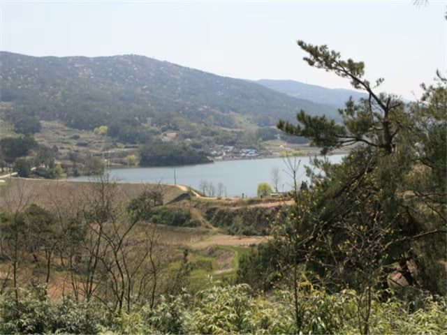 상품이미지 2