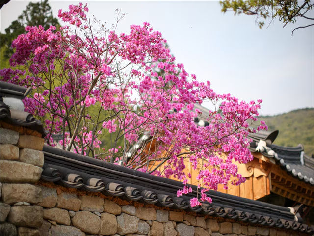 상품이미지 5