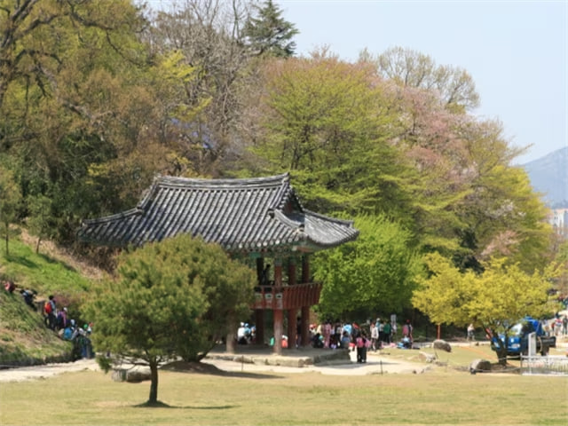 상품이미지 7